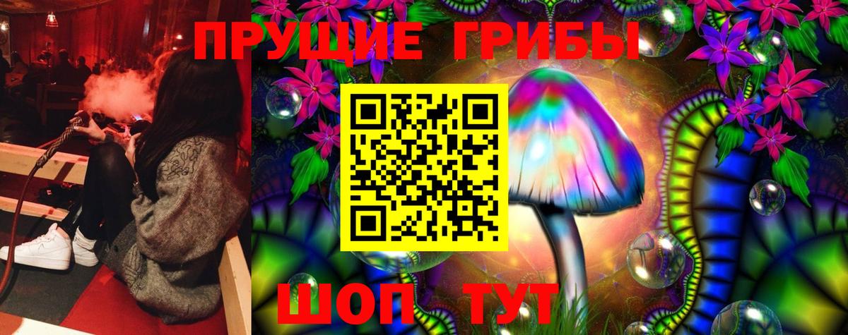 Воткинск  купить закладку  Вход с VPN  Галлюциногенные грибы Psilocybine cubensis 